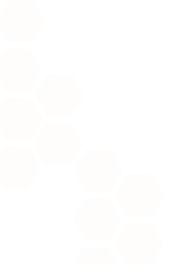 Hive Form