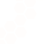 Hive Form
