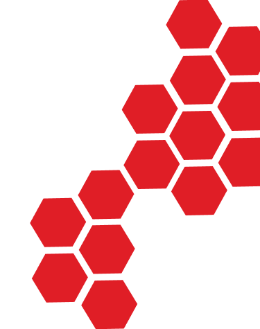 Hive Form