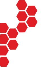 Hive Form