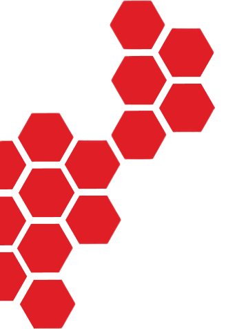 Hive Form